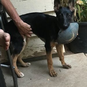 Meet your Posher, Amy